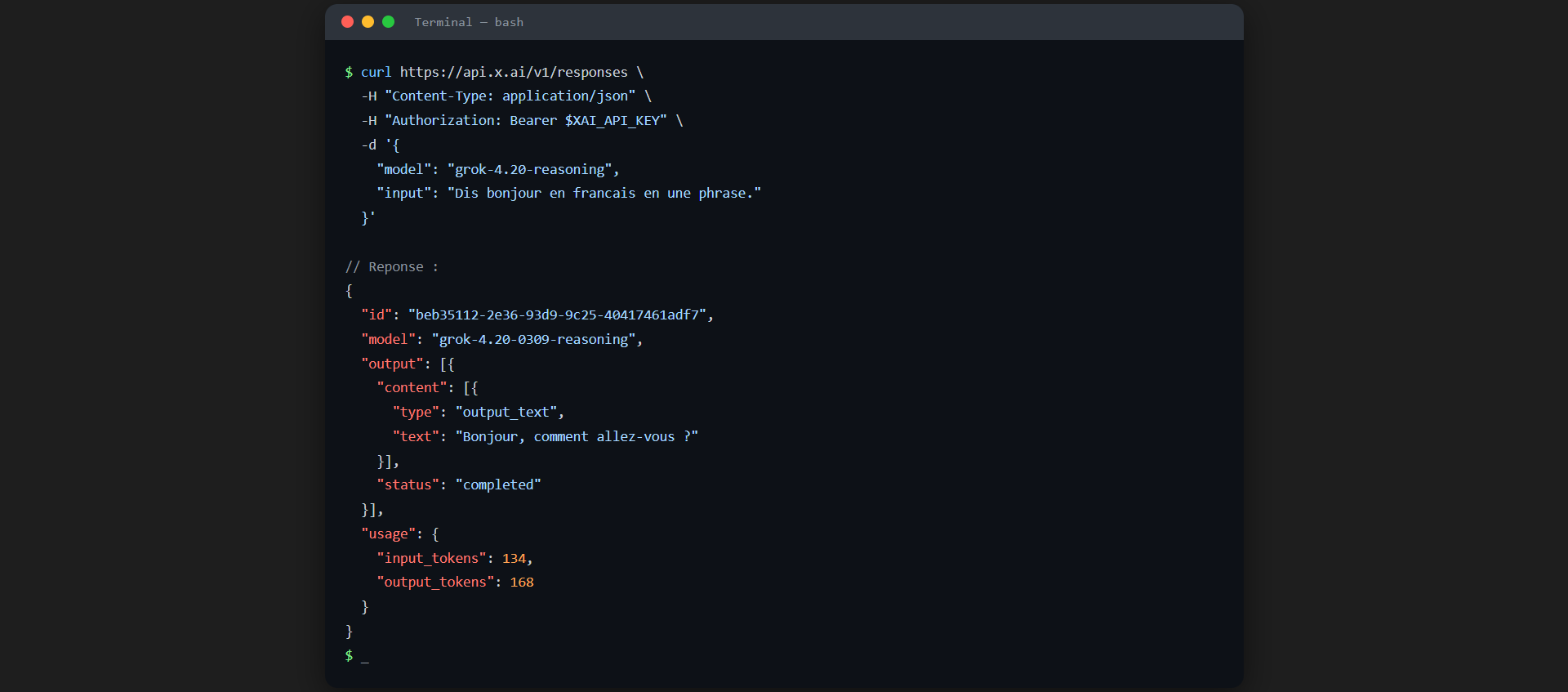 Premier appel API Grok dans le terminal