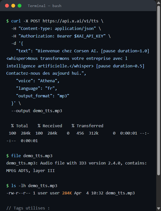 Tags inline TTS dans le terminal